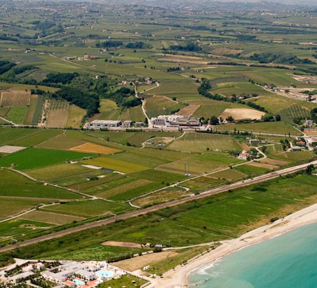 Vasto